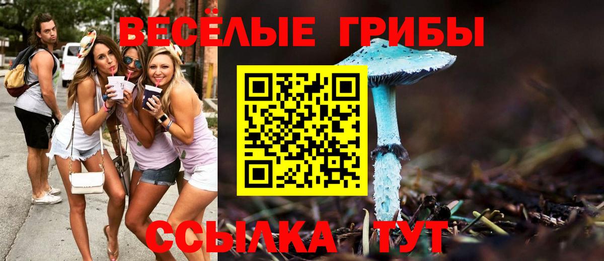 Галлюциногенные грибы мицелий Зеленогорск