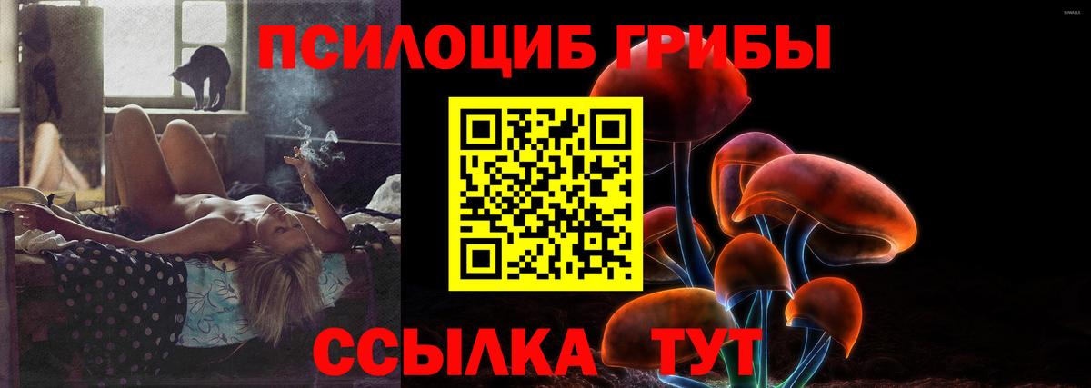 Зеленогорск  Псилоцибиновые грибы Magic Shrooms  Вход с VPN 